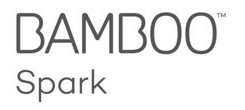 Neo Smartpen N2 logo Bamboo